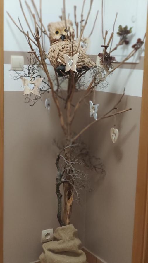 Margus Apartmany Ошчадница Екстериор снимка
